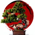 Japanese Garden Bonsai Tree Kindle Store Edition-0