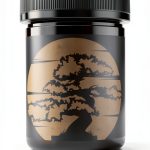 Bonsai Japanese Garden Kindle Guide by Amazon-0