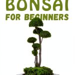 Bonsai Gardening eBook by Climate eBooks – 128‑Page Digital Guide-0
