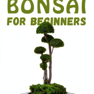 Bonsai Gardening eBook by Climate eBooks – 128‑Page Digital Guide-0