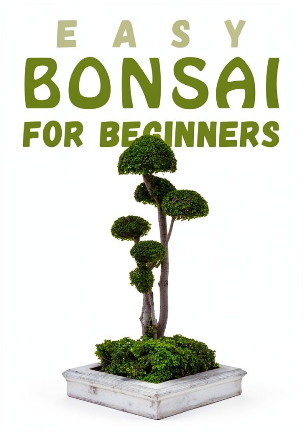 Bonsai Gardening eBook by Climate eBooks – 128‑Page Digital Guide-0