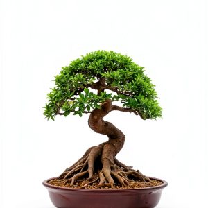 Bonsai Japanese Garden Guide Kindle Edition by Author Name-0