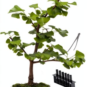 Okami Gardens Bonsai Kindle eBook Japanese Garden Guide 113 Pages-0