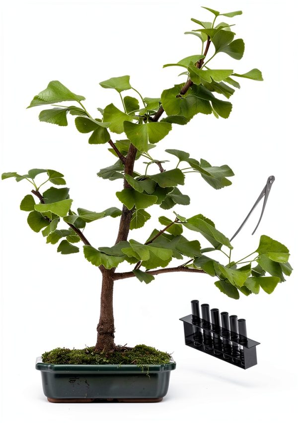 Okami Gardens Bonsai Kindle eBook Japanese Garden Guide 113 Pages-0