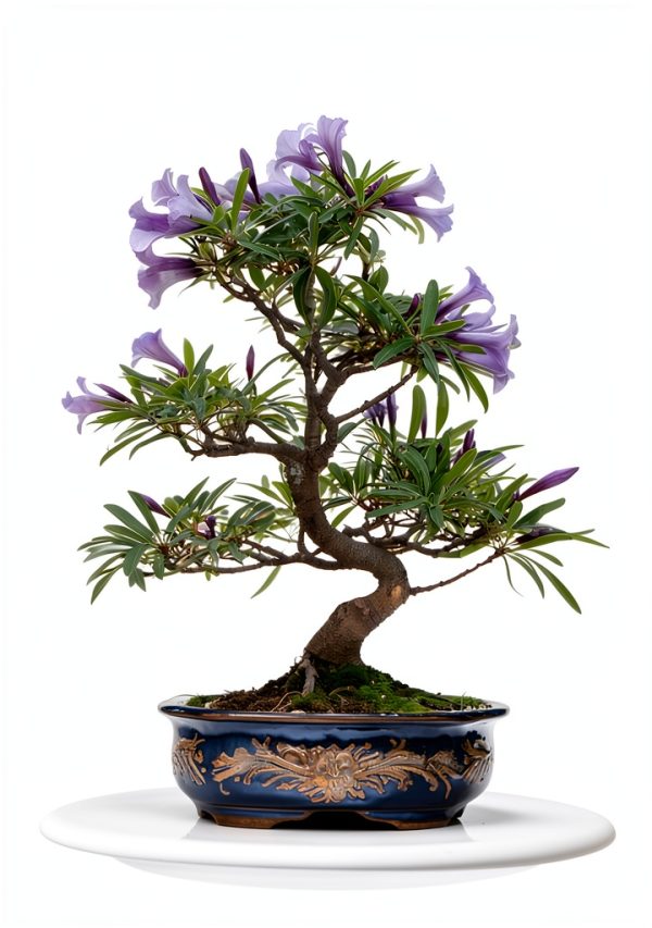 Bonsai Plant and Prosper: A Japanese Garden Guide-0