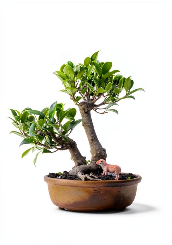 Indoor Gardening Guide: Growing Microgreens, Aquaponics & Bonsai eBook-0