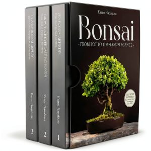 Japanese Garden Bonsai Tree Kindle Store Edition-0