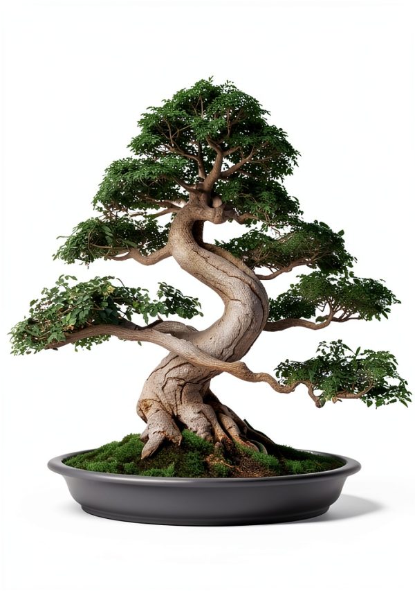 Organic Gardening Handbook Quick Easy Steps – Bonsai Japanese Garden-0