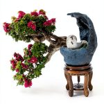 Bonsai Books: A 3rd Edition Japanese Garden Guide for Kids-0