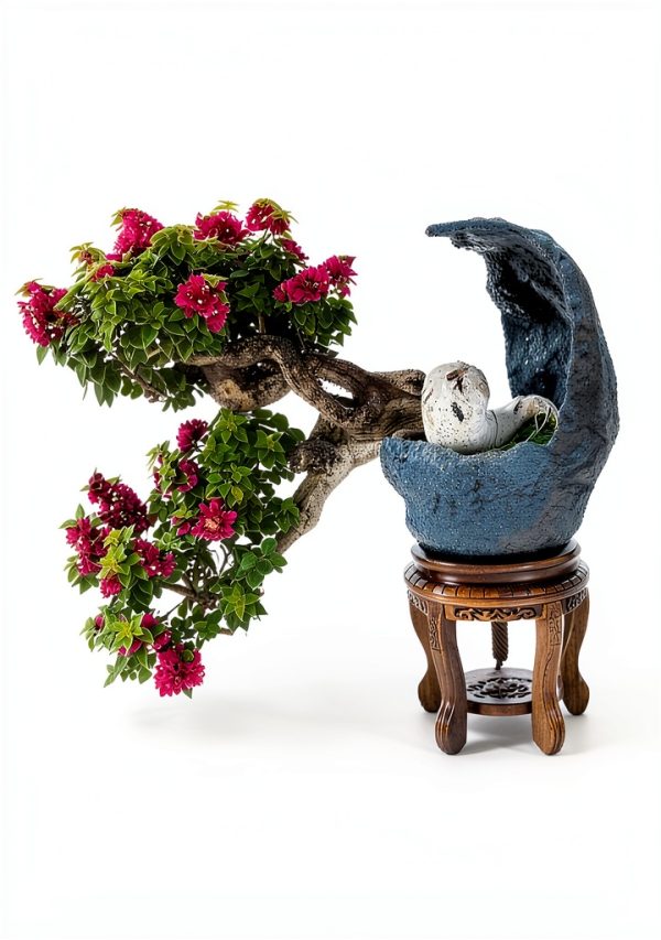 Bonsai Books: A 3rd Edition Japanese Garden Guide for Kids-0